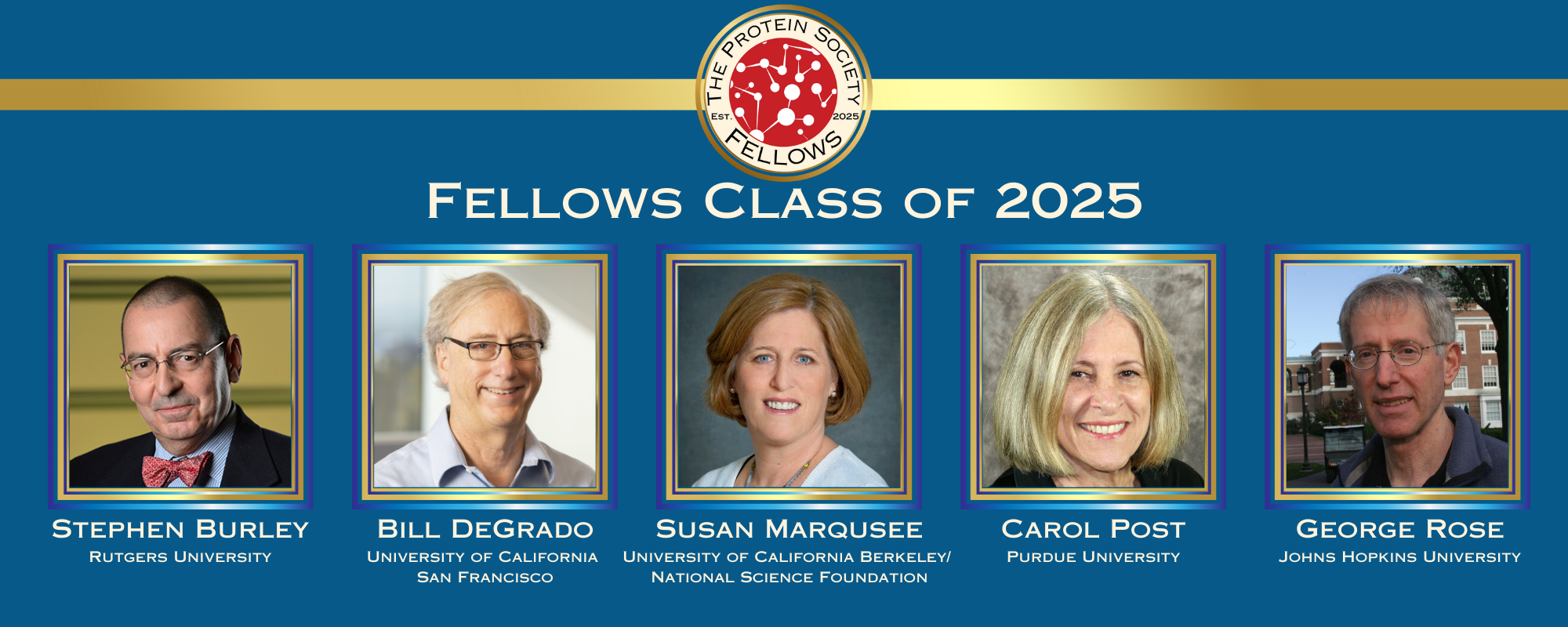 Fellows RVSD