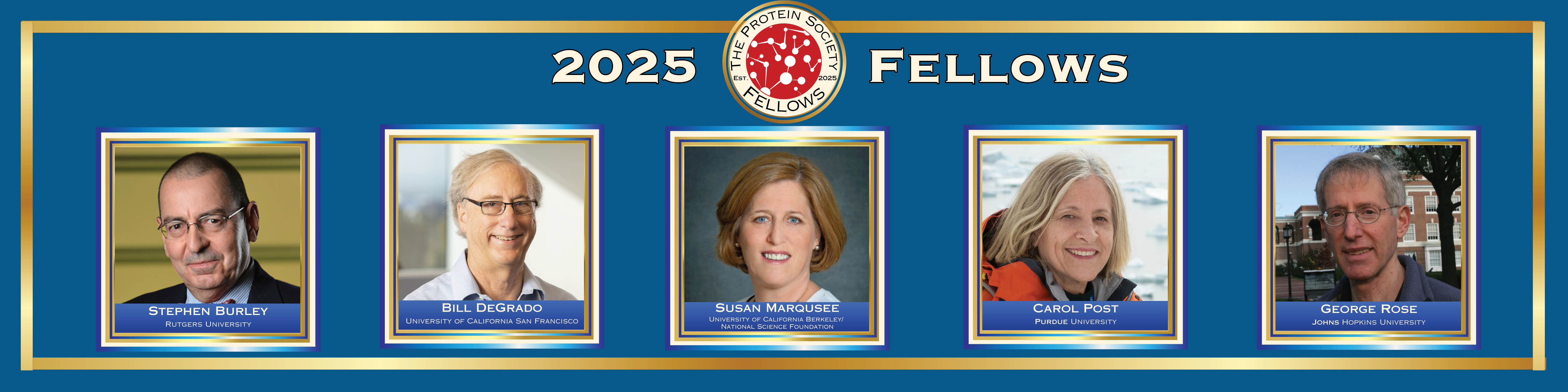 FS5 RVSD - Fellows