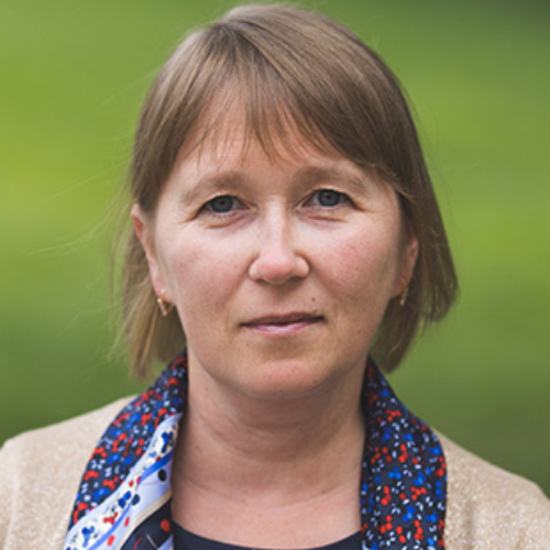 Pletneva